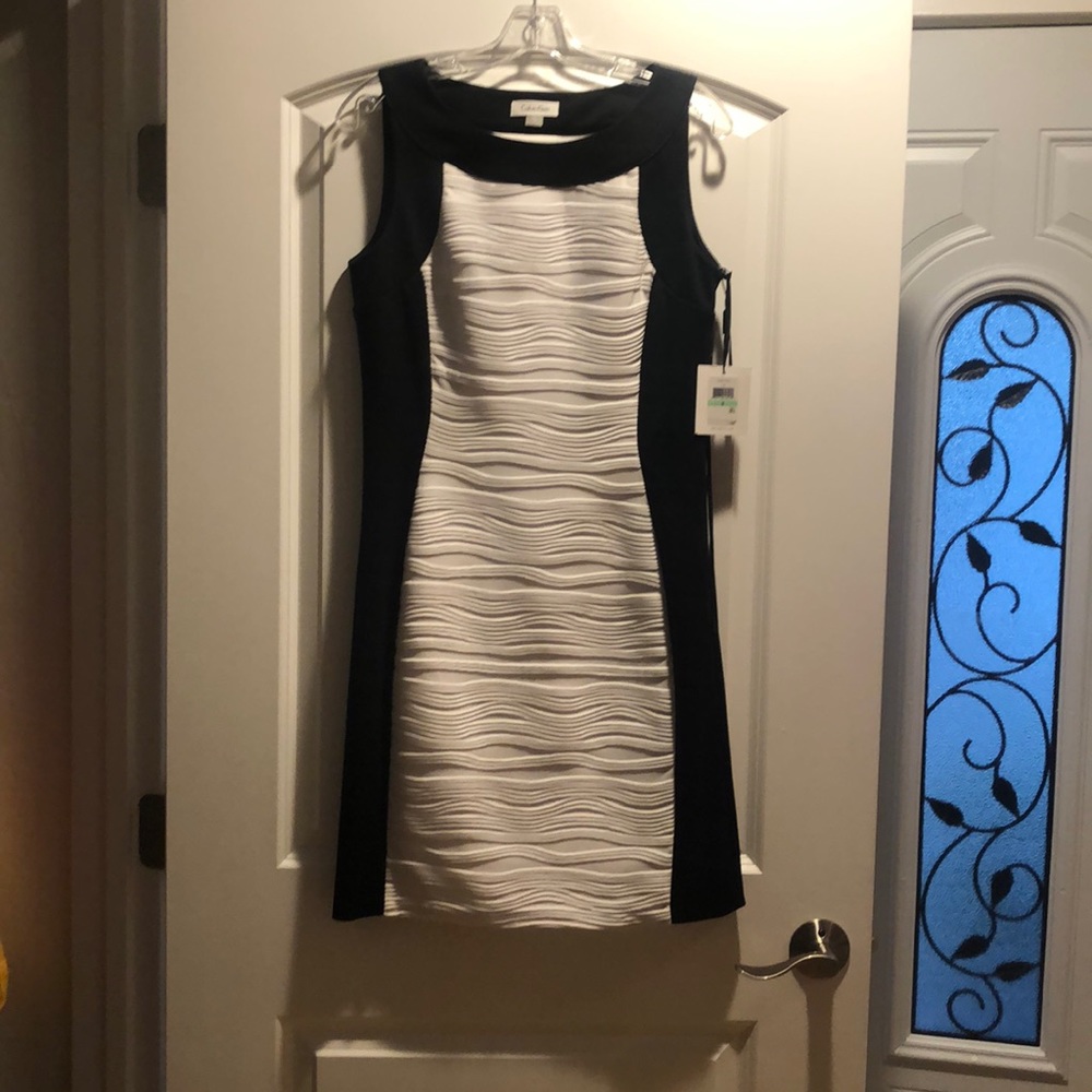 Never Worn Calvin Klein Dress